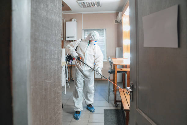 Best Air Quality Testing for Mold Spores  in Crane, TX