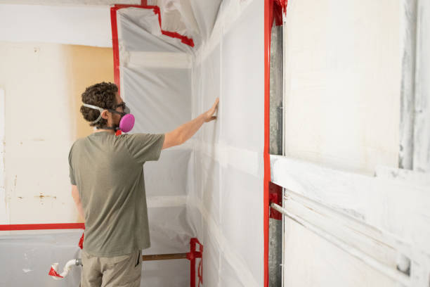 Best Environmental Consulting for Mold Prevention  in Crane, TX