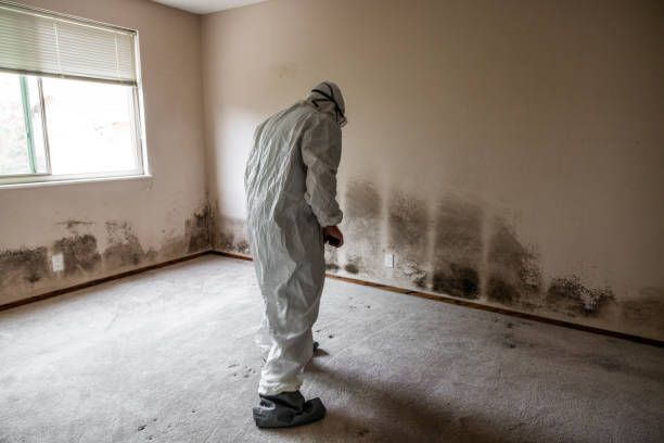 Asbestos and Lead Testing During Mold Inspection in Crane, TX